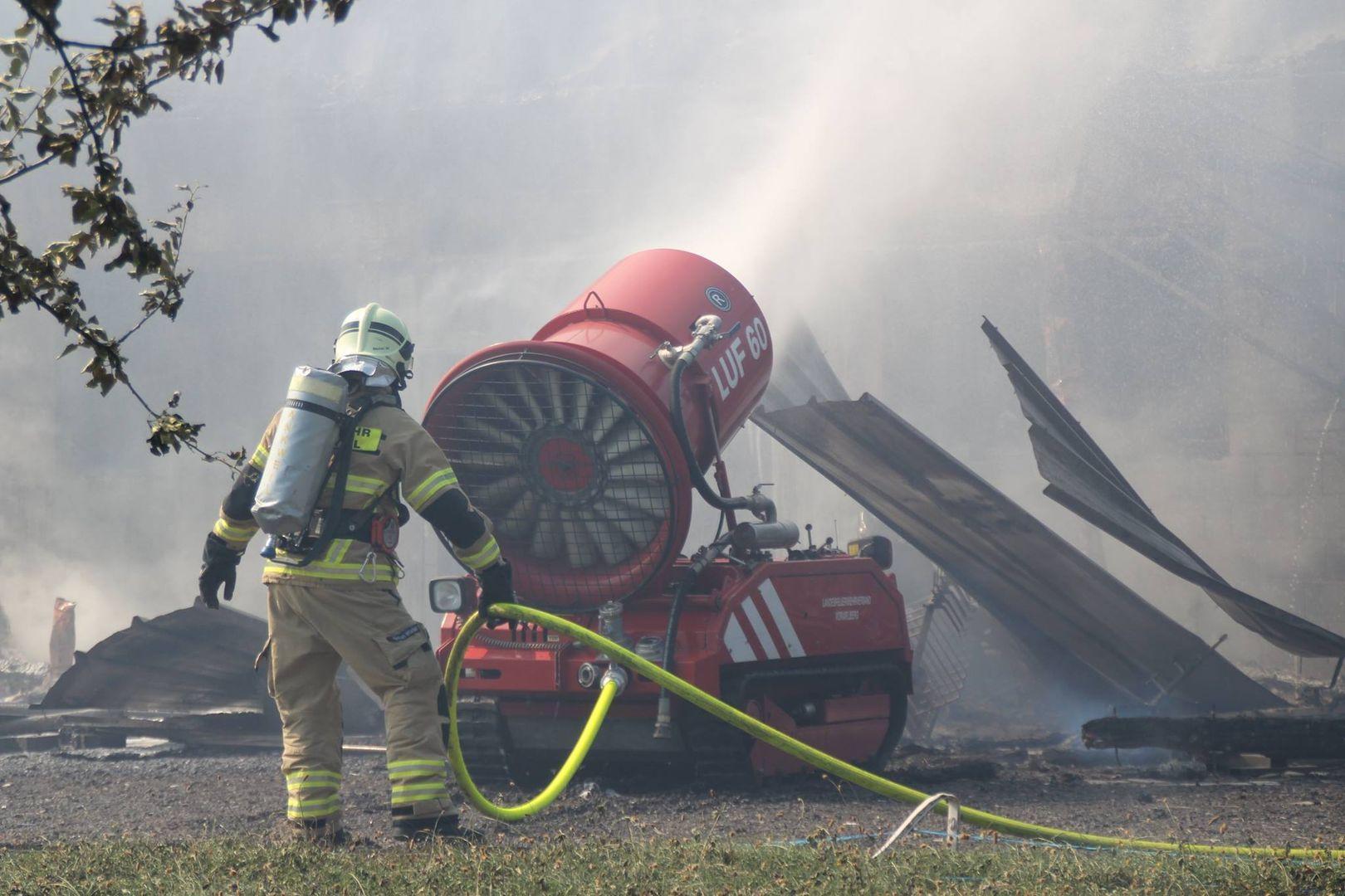 19390595 844810175675347 1453188897798780202 o